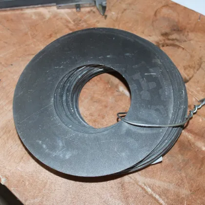 XCMG XE225BR Adjustment Shim 329900666