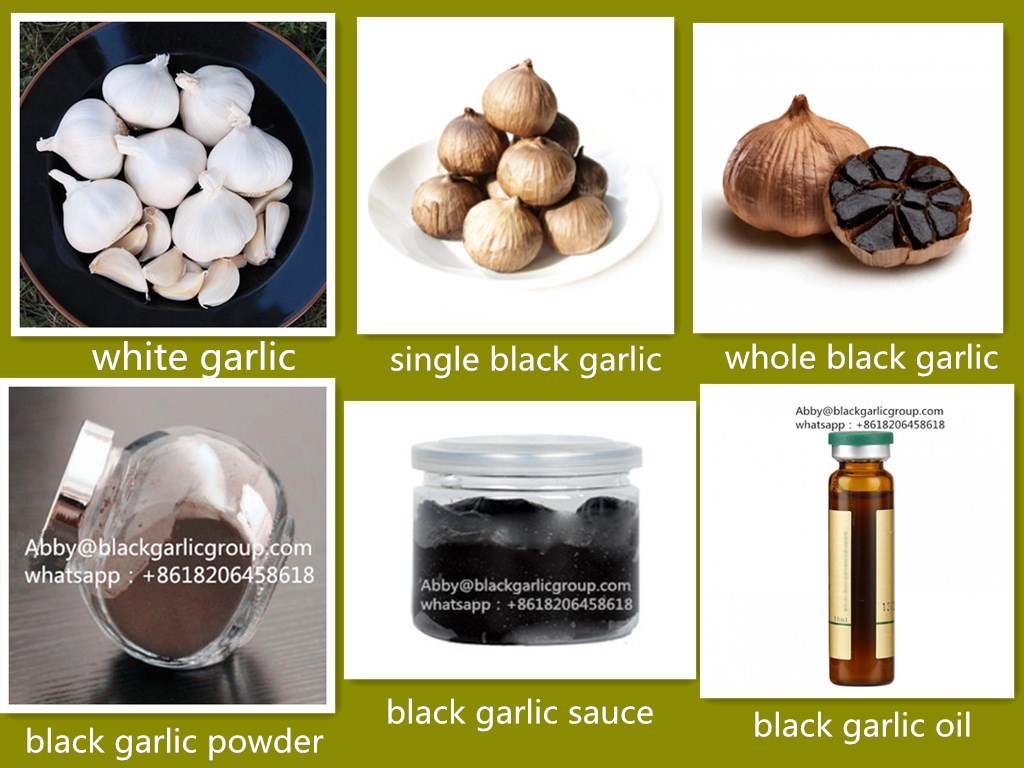 GARLIC