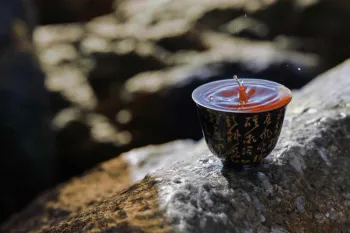 2024 Xian He Collection Grade Pu'er Tea 357g