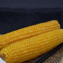 How Long to Boil Corn On The Cob