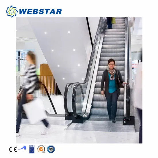Airport Transportation Systems: Elevators, Lifts, Escalators, and Moving Walks