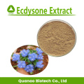 Extrait d'ecdysone 40% 50% 100% naturel