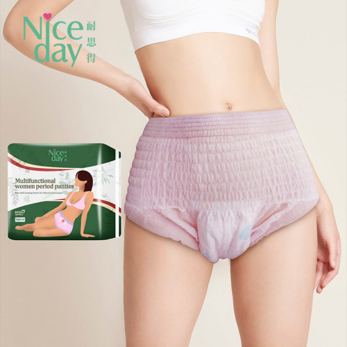 Overnight disposable Period Underwear