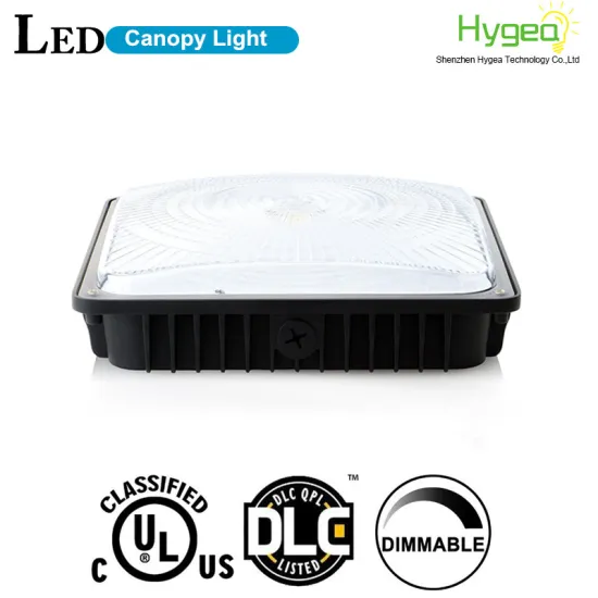 4200lm 5000K 45W LED Canopy Light