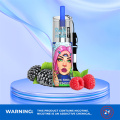 Alivable 10000 Puffs E-cigarette jetable