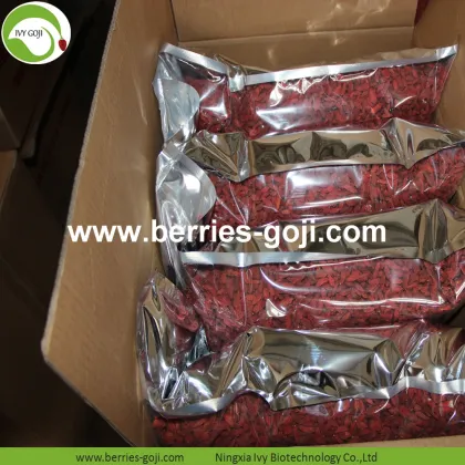 Factory Supply Fruits Sun Dried Nature Goji Berry