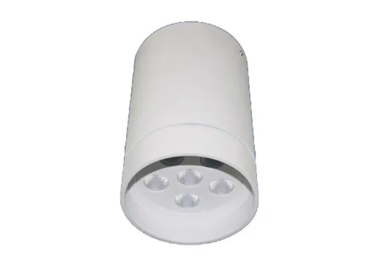 16w 100-240v Ac Recessed Led Downlight Indoor Led Ceiling Light Fixture For Hotel