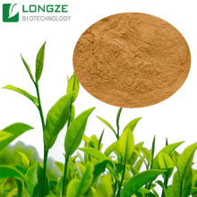 Green Tea Extract Powder Polyphenol