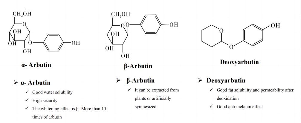 Arbutin Classification