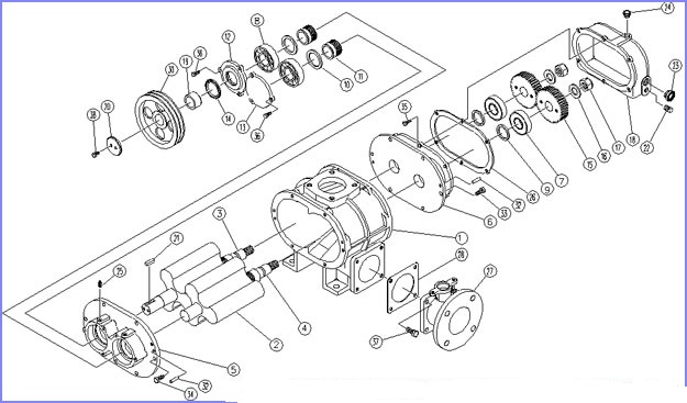 Roots Blower Inside Diagram2