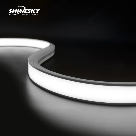 Shinesky New Design Led Neon Light DC24V Waterproof IP44 Outdoor LED Neon Strip Light