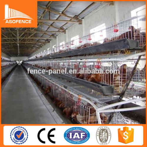 High quality battery chicken layer cage sale for pakistan farm