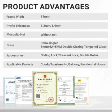 Modern High Qualaty Two Track Sliding Door Customized