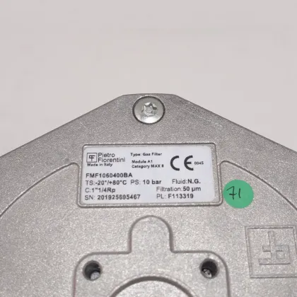 Pietro Fiorentini Gas Filters 106 Series 10604