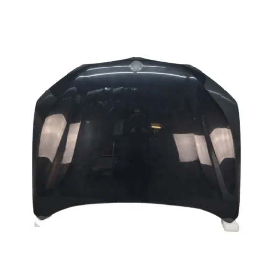 BMW X1 F48 Aluminum Alloy Bonnet Cover Kit OE 41007463801