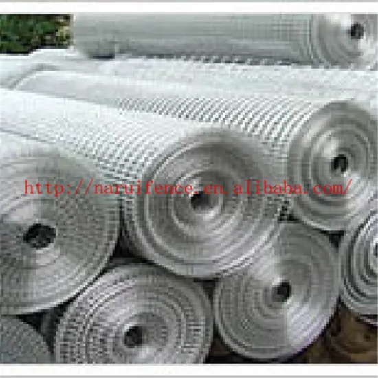 Galvanized Welded Wire Mesh Panels For Chicken Cage