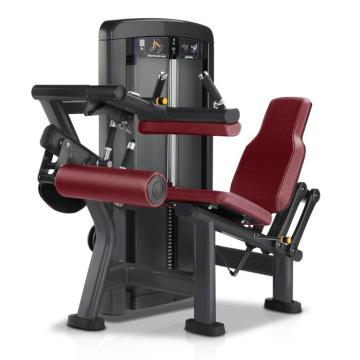 Body Strong Fitness Equipment Gamba seduta Curl