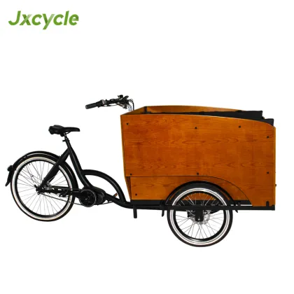 Electric Cargo Tricycle with Five Seats for Children