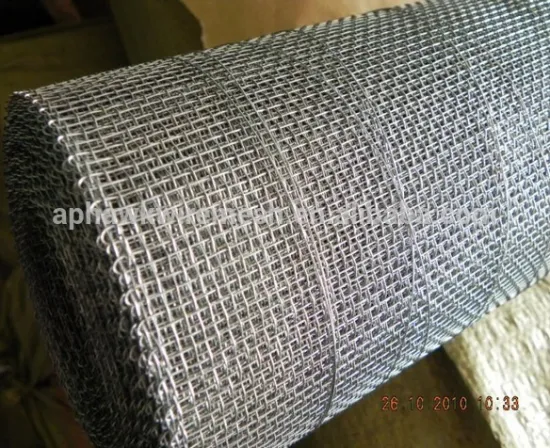 Galvanized Iron Wire Material Galvanized Square wire mesh