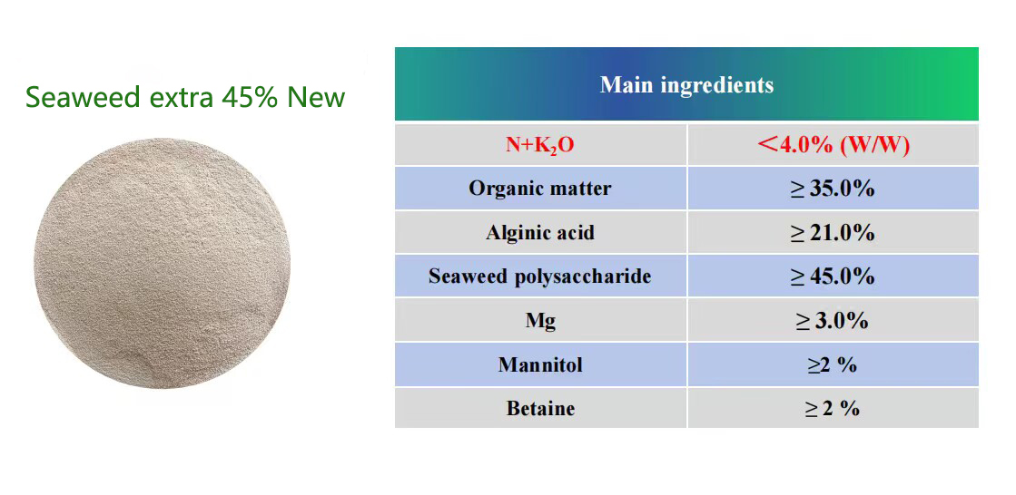 Seaweed Extra 45% new