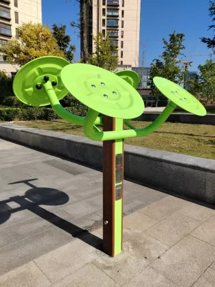 Tai Chi wheels park fitness equipment