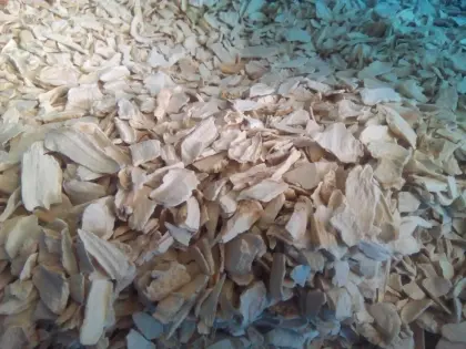 dried spicy horseradish flakes
