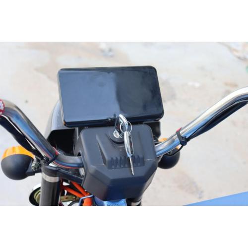 Low Price Eec Certification Electric Tricycle For Adult