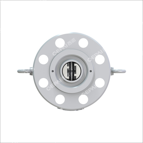 Dual Plate Check Valve