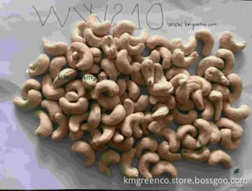 Vietnamese Cashew Nuts Kernels WW240