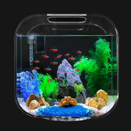 Clear Creative Small Desktop Fish Tank Aquarium Goldfish Tank
