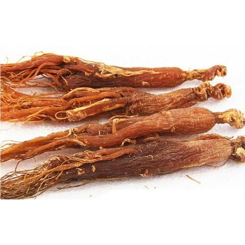 Red Ginseng Extract Pó em pó de saúde feminina Natural