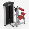 Popular Gym Fitness Equipment Back Extension