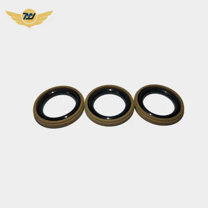 Hydraulic pump oil seal mechanical double seals