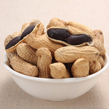 Yummy Import Fresh Vegetables Raw Black Peanut for Importer