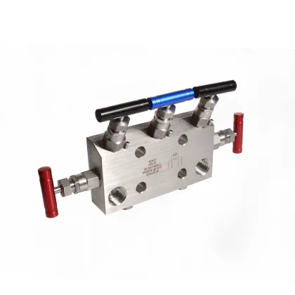 6000psi Stainless Steel Instrument Air 5-Valve Manifold with Needle Valve
