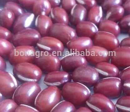adzuki bean China origin Size:4-9mm Machine clean quality