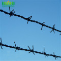 Steel Wire Galvanized Cheaps Barbed Wire