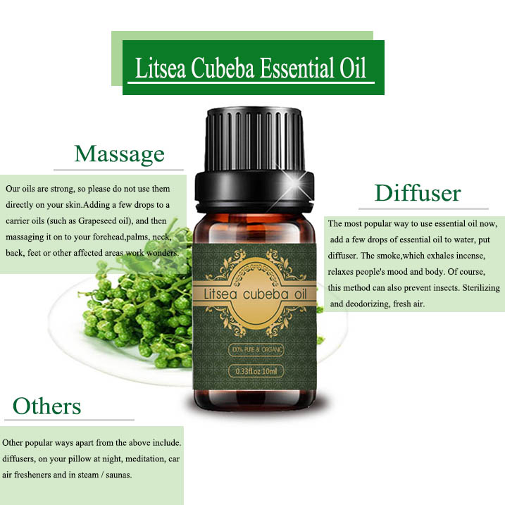 Hot selling fresh organic litsea cubeba essential oil