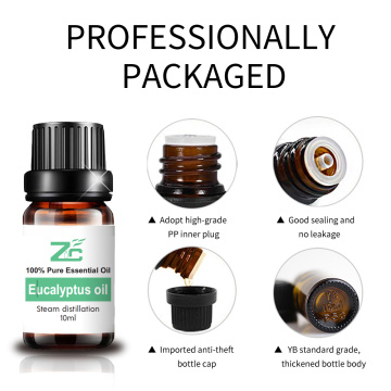 Eucalyptus Essential Oil Wholesale Insect Mosquito Repellent