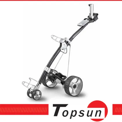 Topsun Electric Golf Cart