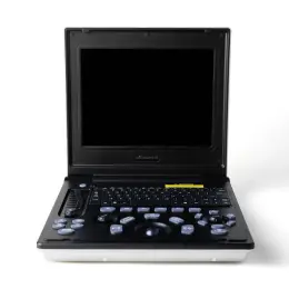 Laptop ultrasound for cardiac examination of Maine cats