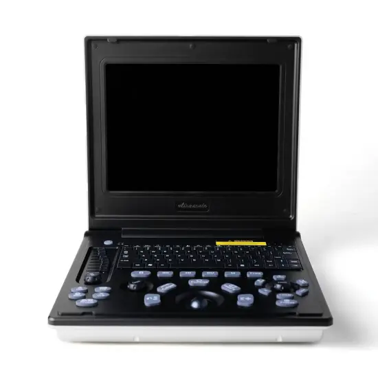 Laptop ultrasound for cardiac examination of Maine cats