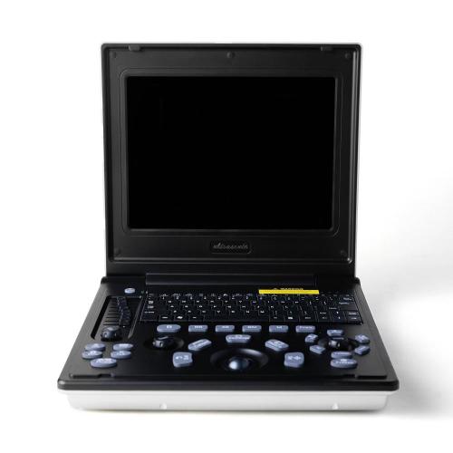 Laptop ultrasound for cardiac examination of Maine cats