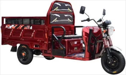 Elderly Cargo Electric Tricycle: Scooters and Three-Wheel Disability Vehicles for Adults
