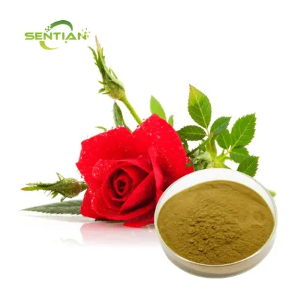 Rose Flower Extract Powder 10:1