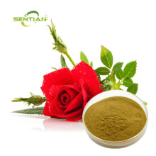 Rose Flower Extract Powder 10:1
