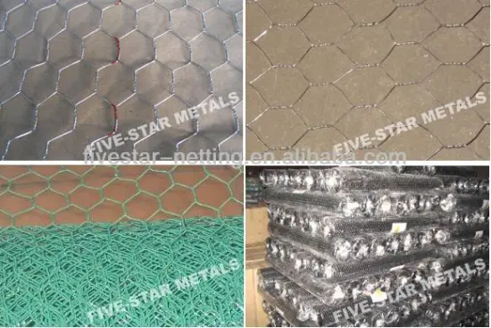 china hexagonal wire netting
