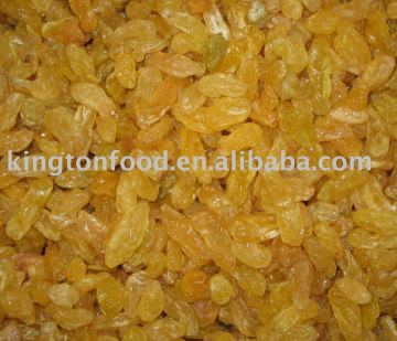 Raisin -dried golden raisin