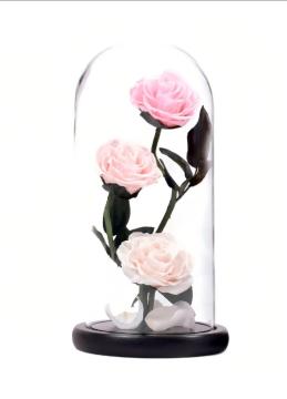 Eternal 3 Preserved Multicolor Roses Glass Dome