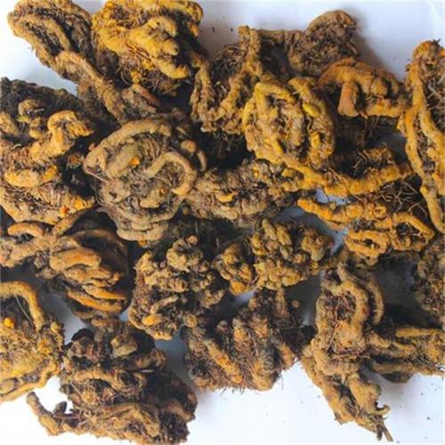 what stores carry berberine